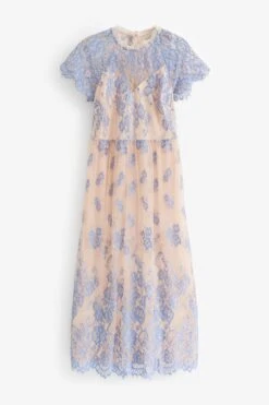 Next Midikleid (1-tlg)