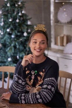 Marinblau, Blau, Rentier - Next Weihnachtspullover Mit Ärmeln Mit Norwegermuster, Familienkollektion -Next Geschäft A98710s3