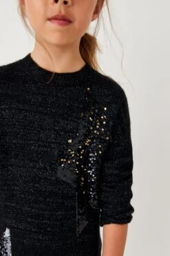 Next Pulloverkleid Mit Pailletten (3-16yrs) 9 Next Pulloverkleid Mit Pailletten (3-16yrs) -Next Geschäft T50 430s4